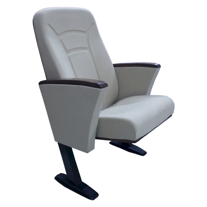 Comfortable Conference hall chair